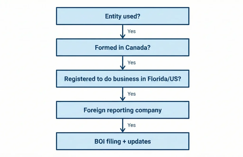 Corporate Transparency Act BOI reporting flowchart for Canadian investors